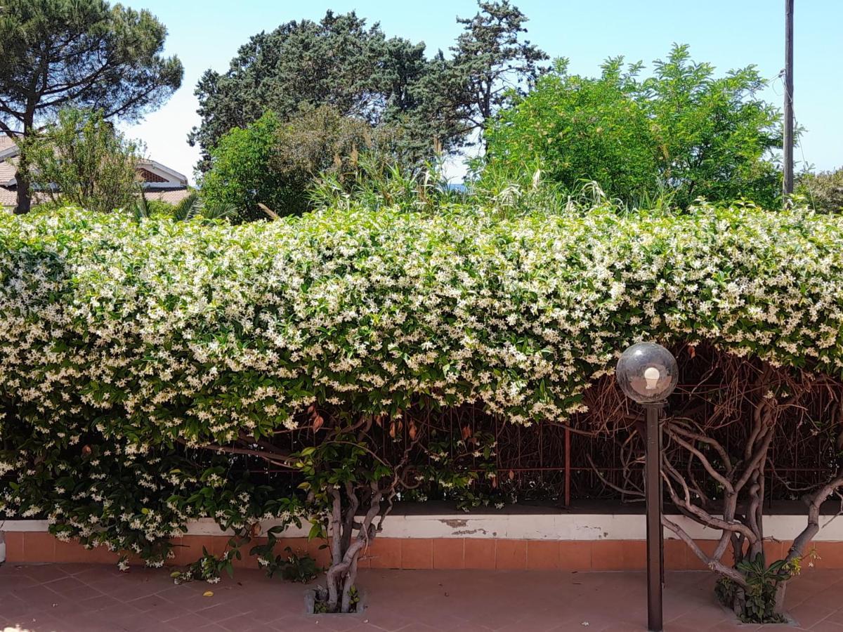 Guest House Al Mare Чивитавекия Екстериор снимка