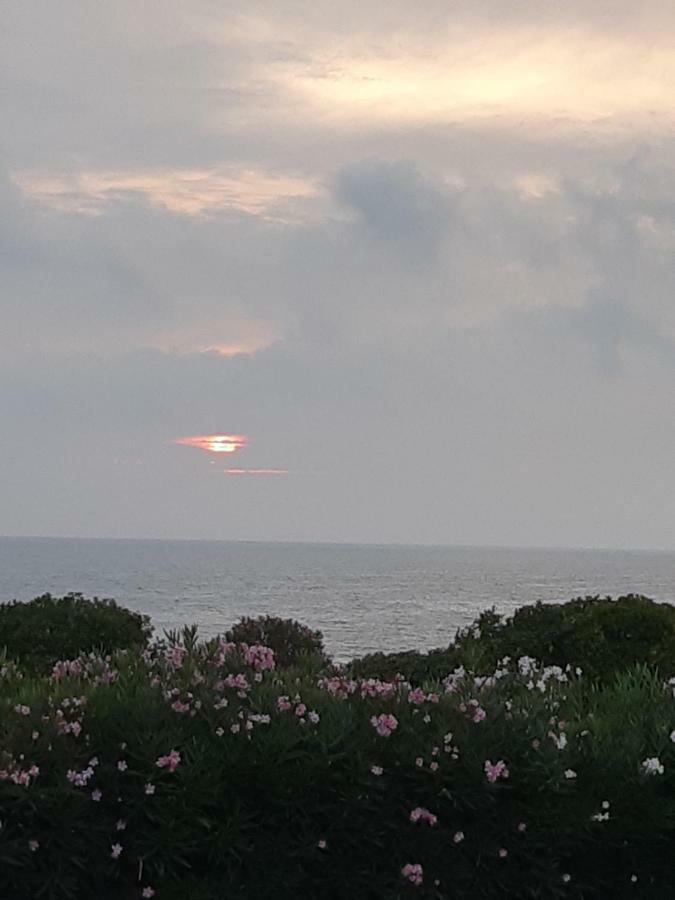 Guest House Al Mare Чивитавекия Екстериор снимка